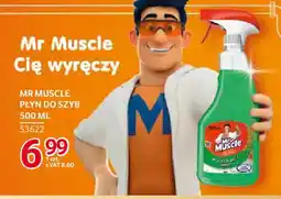 Selgros Mr Muscle płyn do szyb oferta