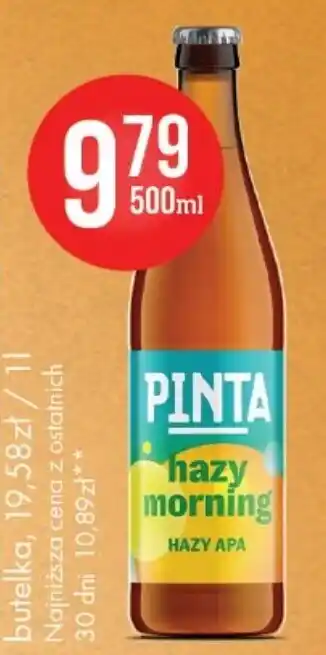 Pinta Hazy Morning