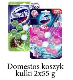 ADEKS Domestos koszyk kulki oferta