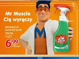 Selgros Płyn do szyb Mr Muscle oferta