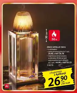 Selgros Znicz Apollo oferta