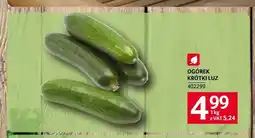 Selgros Ogórki krótkie oferta