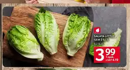 Selgros Sałata Little Gem oferta