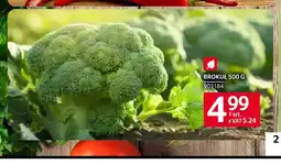 Selgros Brokuł oferta