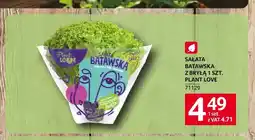 Selgros Sałata batawska z bryłą Plant Love oferta