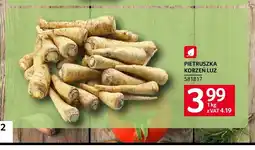 Selgros Pietruszka korzeń oferta