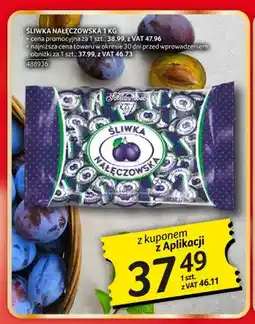 Selgros Śliwka Nałęczowska Solidarność oferta