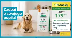 ERLI Karma sucha dla psa Brit z jagnięciną oferta