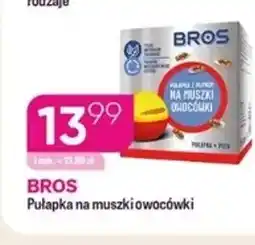 Koliber drogerie Pułapka na muszki owocówki Bros oferta