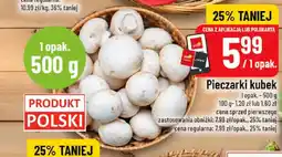 Polomarket Pieczarki kubek oferta