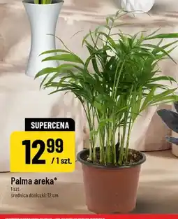 Polomarket Palma areka oferta