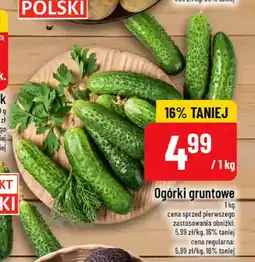 Polomarket Ogórki gruntowe oferta
