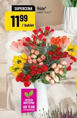 Polomarket Róże bukiet 9 szt oferta