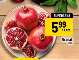 Polomarket Granat oferta