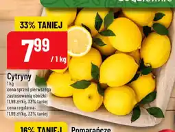 Polomarket Cytryny oferta