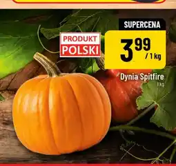 Polomarket Dynia Spitfire oferta