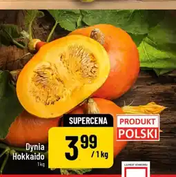 Polomarket Dynia Hokaido oferta