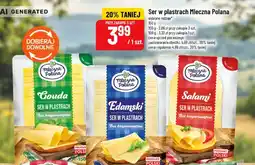 Polomarket Ser gouda w plastrach Mleczna Polana oferta