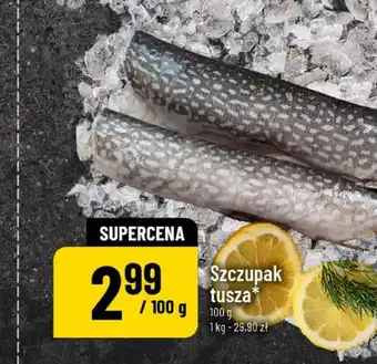 Polomarket Szczupak tusza oferta