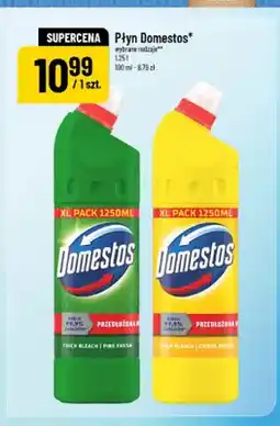 Polomarket Płyn Domestos oferta