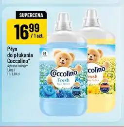Polomarket Płyn do płukania Coccolino Fresh Blue Splash oferta