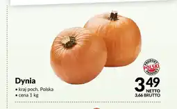 Makro Dynia oferta
