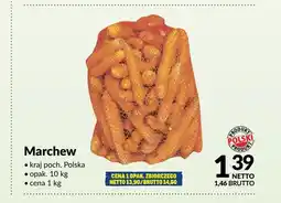 Makro Marchew oferta