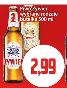 Kupiec Piwo Żywiec oferta