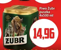 Kupiec Piwo Żubr 4-pak oferta