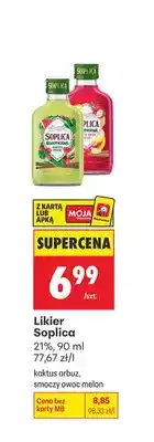 Biedronka Likier Soplica kaktus arbuz oferta