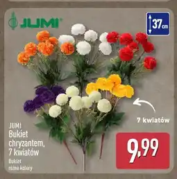 ALDI Bukiet chryzantem 7 kwiatów Jumi oferta