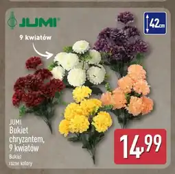 ALDI Bukiet chryzantem 9 kwiatów Jumi oferta