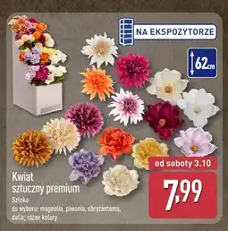 ALDI Kwiat sztuczny premium magnolia oferta