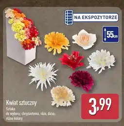 ALDI Kwiat sztuczny róża oferta