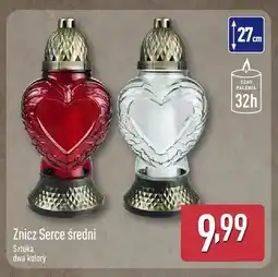 ALDI Znicz serce średni oferta