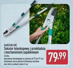 ALDI GARDENLINE oferta