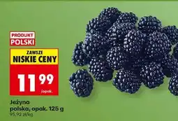 Biedronka Jeżyna polska, opak. 125 g oferta
