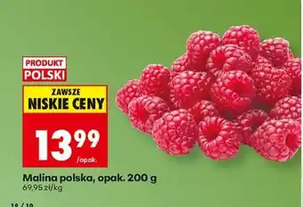 Biedronka Malina polska, opak. 200 g oferta