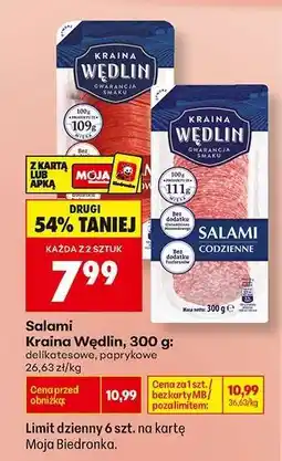 Biedronka Salami Kraina Wędlin 300 g oferta