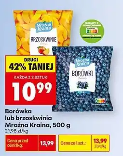 Biedronka Borówka lub brzoskwinia Mroźna Kraina, 500 g oferta