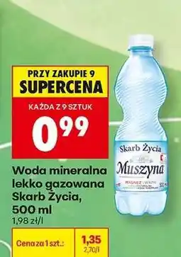 Biedronka Woda mineralna lekko gazowana Skarb Życia, 500 ml oferta
