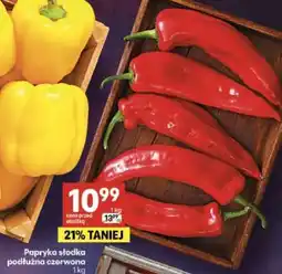 Delikatesy Centrum Papryka słodka podłużna czerwona oferta