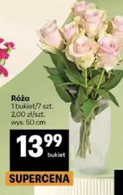 Delikatesy Centrum Róża oferta