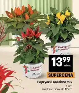 Delikatesy Centrum Papryczki ozdobne mix oferta