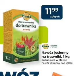 Mrówka Nawóz jesienny pod iglaki Planta oferta