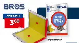 Mrówka Lep na myszy Bros oferta