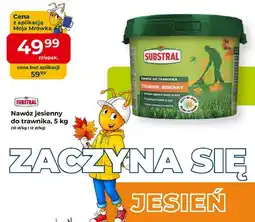 Mrówka Nawóz jesienny do trawnika Substral oferta