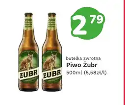 Limonka Piwo Żubr oferta