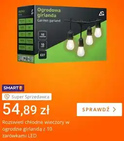 Allegro Girlanda ogrodowa z 10 żarówkami LED oferta
