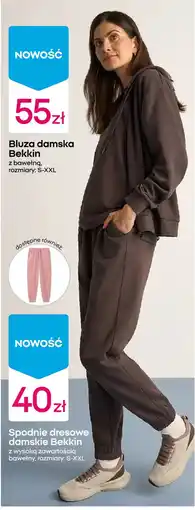 Pepco Bluza damska Bekkin oferta